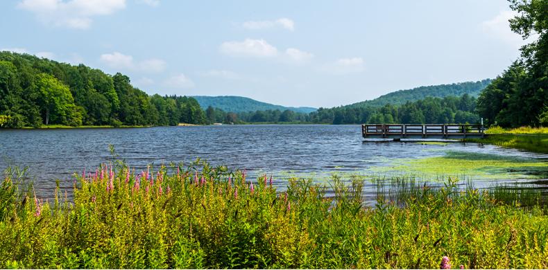 A lake surrounded by mountains, with wildflowers in the foreground.